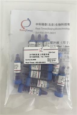 2×TBE尿素上樣緩沖液（用于尿素變性膠，不含二甲苯菁）