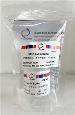 RIPA裂解液(強，不含抑制劑，不含螯合劑)