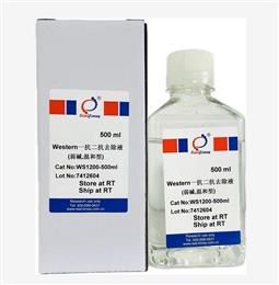 Western一抗二抗去除液（弱堿，溫和型）